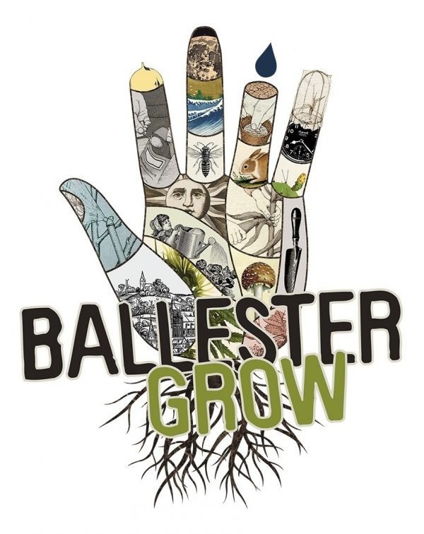 Delta 8 500ml Crecimiento Ballester Grow - Imagen 2