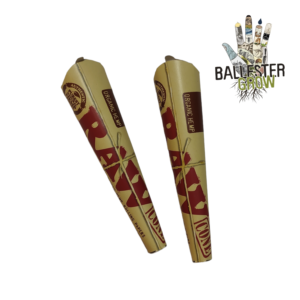 RAW CONES 1 1/4 ORGANIC x 6u