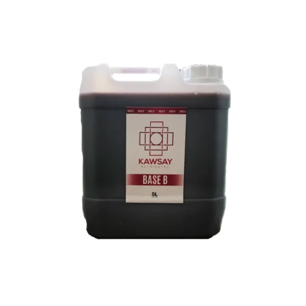 KAWSAY NUTRIENTES BASE B 5L